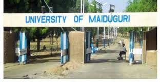 UNIMAID Admission List 2023/2024 is Out on JAMB CAPS