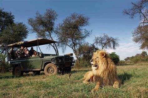 Choosing a South African Safari | The Budget Your Trip Blog