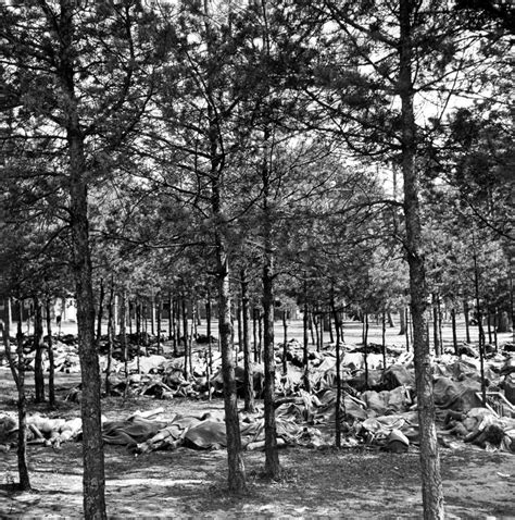 Bergen-Belsen: Photos From the Liberation of the Notorious Camp, 1945