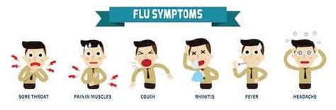 Influenza: Symptoms, Complications, and Treatment