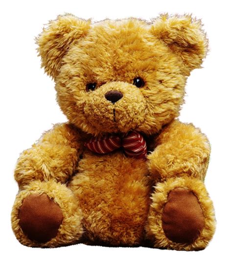 Teddy bear PNG