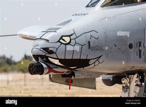 Close-up of the GAU-8 Avenger gun on an A-10 Thunderbolt II Stock Photo ...