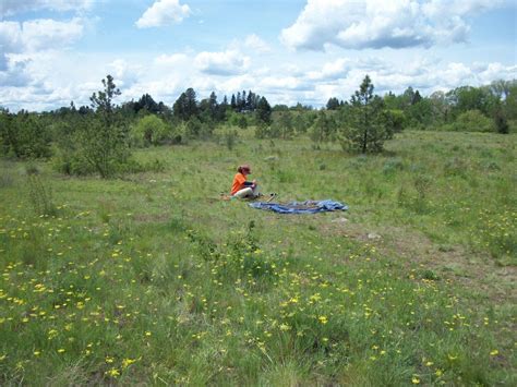 Spokane River Centennial Trail Re-alignment - Plateau CRM