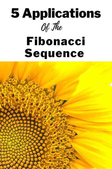 5 applications of the fibonacci sequence – Artofit