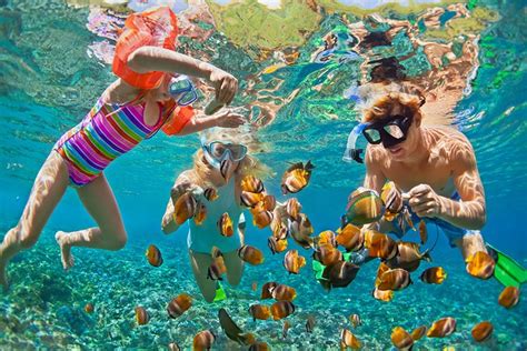 10 Best Places to go Snorkeling in Turks and Caicos