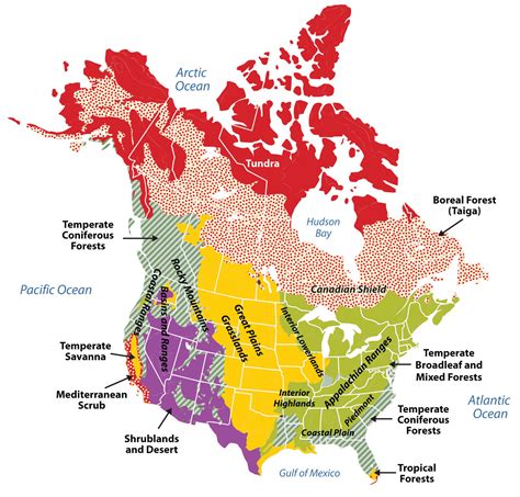 4.1 Introducing the Realm | World Regional Geography: People, Places ...