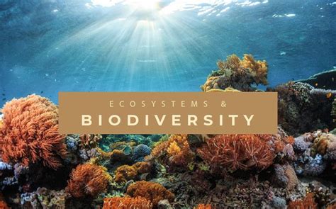 Ecosystems and Biodiversity | Africa Centre of Excellence in Coastal ...