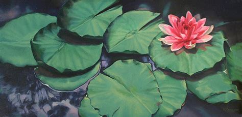 Lily Pad Painting, Lotus Flower Painting, Lily Pad Art, Lotus Flower ...