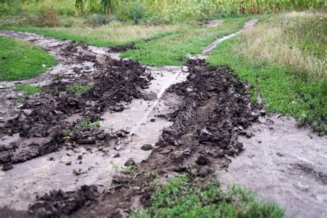 Car tracks on a dirt road stock photo. Image of rural - 253678176