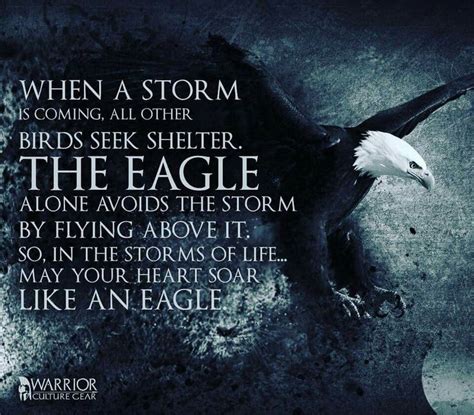 Soar like a eagle. | The great quotes, Eagle, Wise words