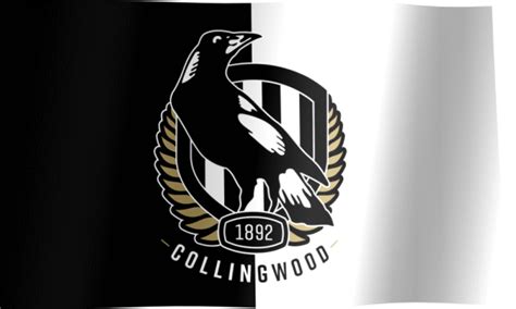 Collingwood Football Club Fan Flag (GIF) - All Waving Flags