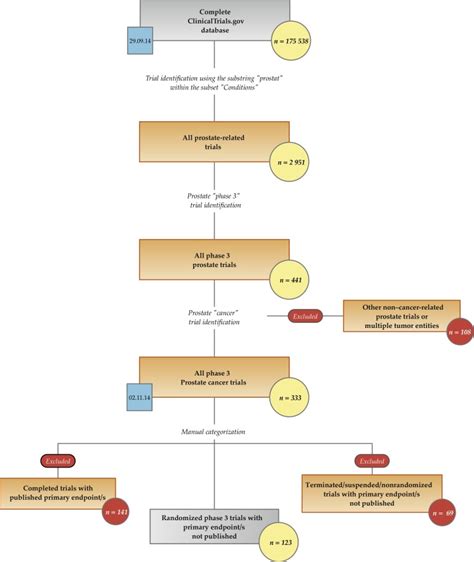 Clinical Perspectives from Randomized Phase 3 Trials on Prostate Cancer ...