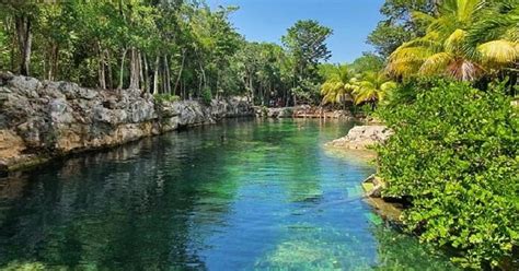 From Playa Del Carmen: Cenotes Experience with Boxed Lunch | GetYourGuide