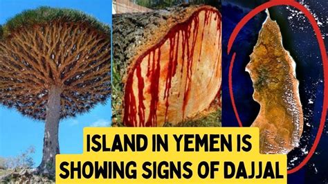 Island in Yemen is showing signs of Dajjal | Islamic Lectures - YouTube