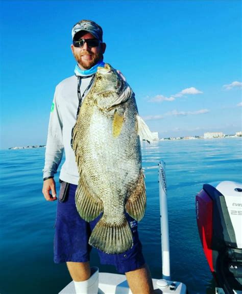 Tripletail Fishing Addiction - Old Salt Fishing Foundation