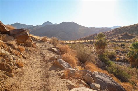 These Palm Springs hiking trails take you through a lush oasis — and ...