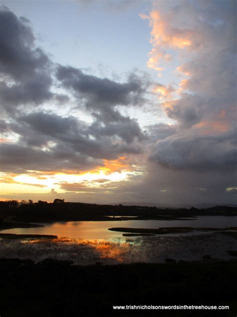 pink dawn sky | Trish Nicholsons Words in the Treehouse