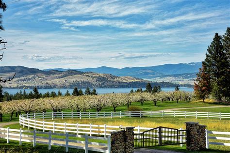 Cherry Orchard above Flathead Lake Photograph by Mick Sullivan - Fine ...