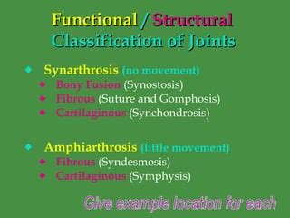 Articulations | PPT