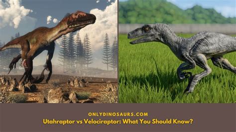 Utahraptor Vs Velociraptor: What You Should Know? | Only Dinosaurs