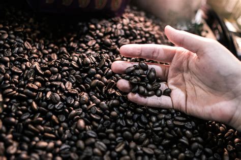 Fresh Roasted Coffee Beans Make A Difference – Deans Beans