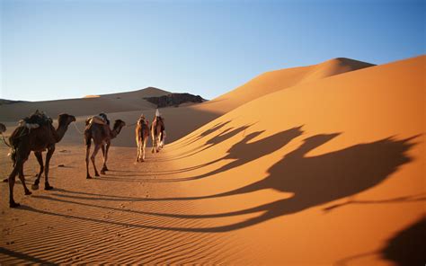 Desierto del Sahara: De los climas más severos - Radio Duna