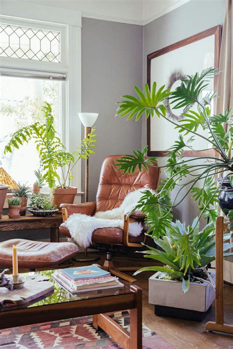 Decorating with Plants - Modernize