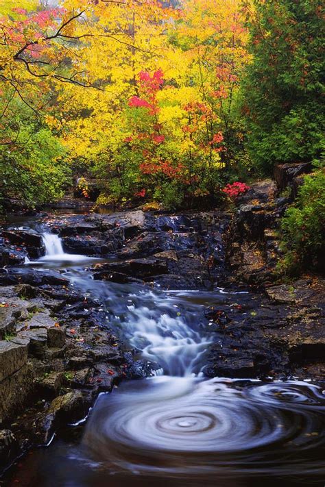 Autumn Swirls is a photograph by Chad Dutson. Acadia National Park ...