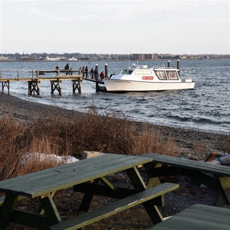 Seals in the Bay - Seal Watch Tours - Save The Bay - Winter Fun