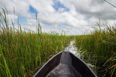 Mokoro Canoe Trip in the Okavango Delta Near Maun, Botswana Stock Photo ...