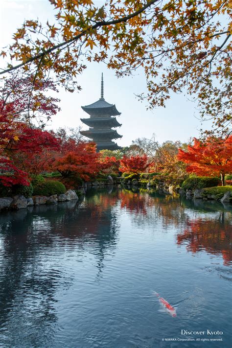 Tō-ji | Discover Kyoto