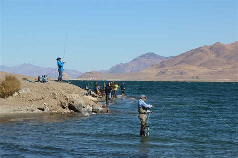 Fishing | Pyramid Lake Nevada