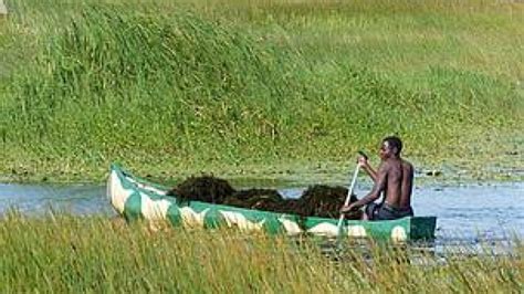 Wetlands conservation milestone | People°s Weather