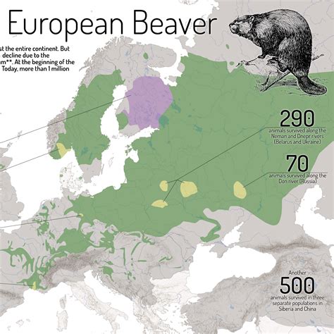 The Return of the European Beaver – Cartography M.Sc.