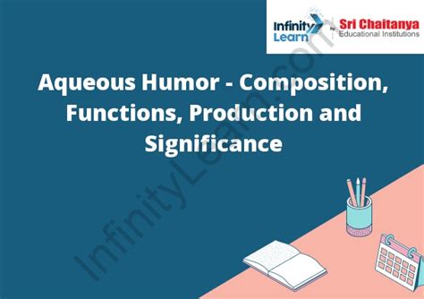 Aqueous Humor - Composition, Functions, Production and Significance