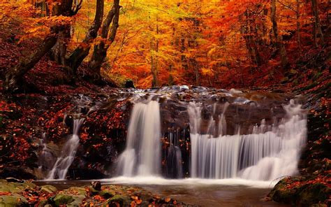 landscape, Fall, Forest, River, Waterfall, Trees Wallpapers HD ...