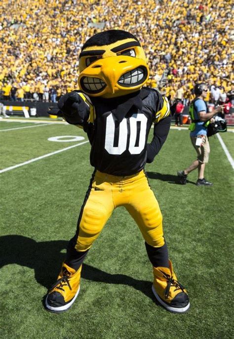 Mean mascot? Iowa professor wants a kinder, gentler Hawkeye – The ...