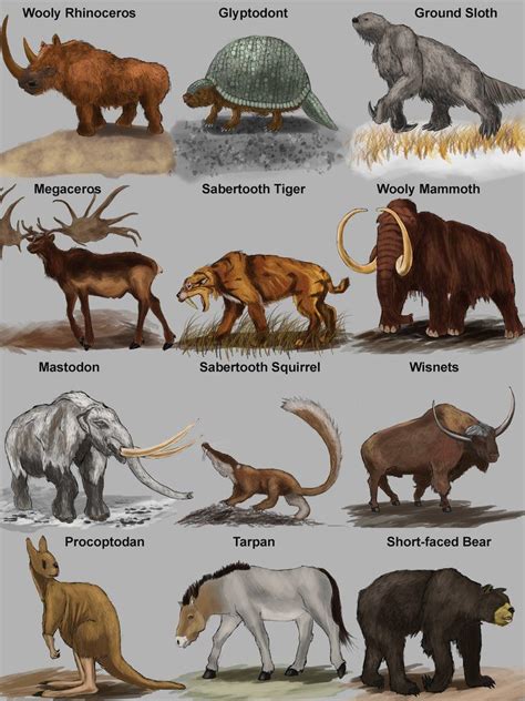 Image result for prehistoric mammals | Mamíferos, Animais extintos ...