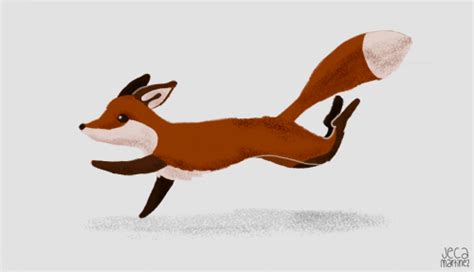 Lilybop 2012: Forget About WHAT DOES THE FOX SAY? What Are Those Sounds ...