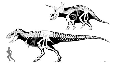 The ancient rivals. Tyrannosaurus Rex and Triceratops (Lancianldolatry ...