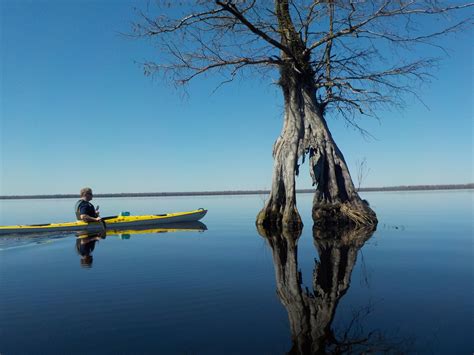 Great Dismal Swamp paddle, on Lake Drummond. One of those rare mirror ...