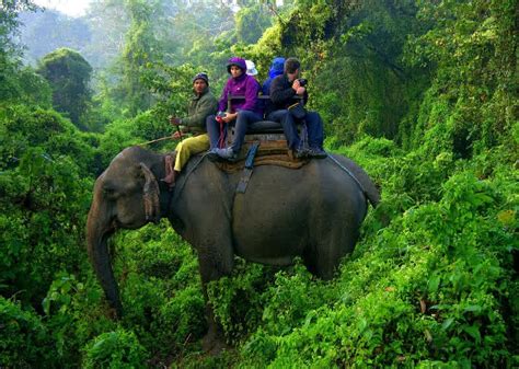 Wildlife Safari in Nepal- adventure jungle safari- jeep drive