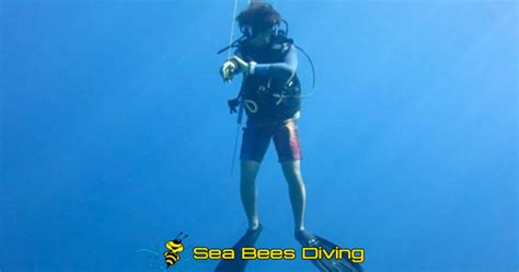 Diving Khao Lak – Sea Bees Diving Thailand