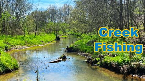 Searching for the Creek GREEN Fish (Not Bass) - YouTube