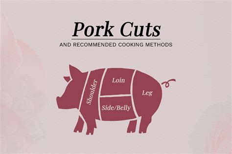 Pork Meat Cuts Chart