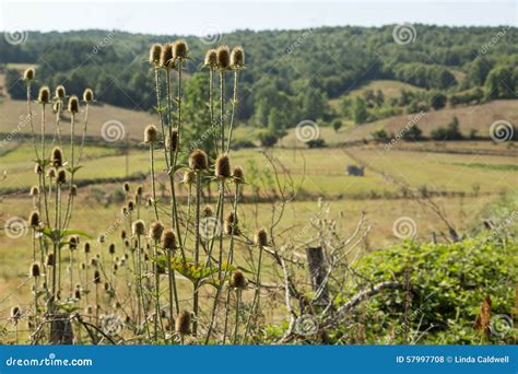 Turkish countryside stock photo. Image of view, turkish - 57997708