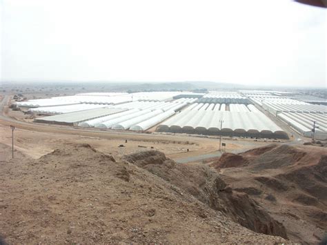 Agriculture in the Israeli Desert - Agriculture in Israel