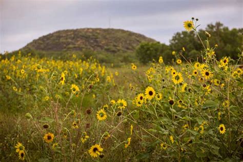 Attractions in Uvalde County | Tour Texas