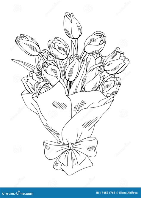 Tulip Flower Graphic Black White Isolated Bouquet Sketch Illustration ...