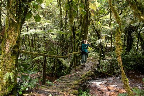 7 top activities in Bwindi Impenetrable National Park